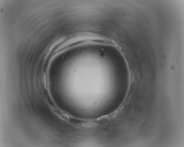 X0000076430050200610202255