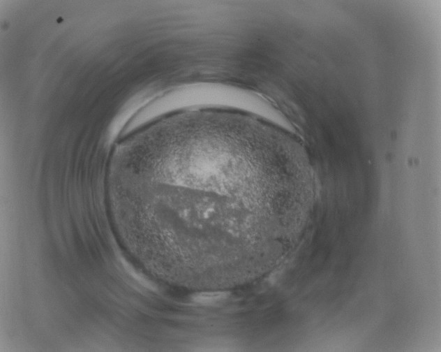 X0000076430051200610202255