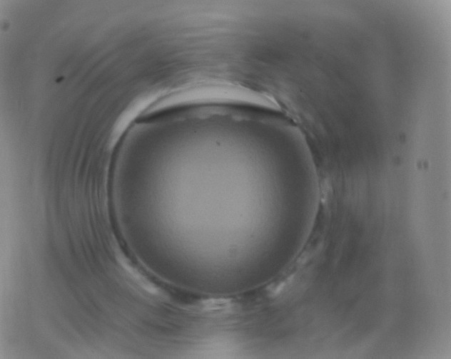 X0000076430052200610202255