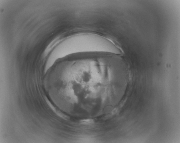 X0000076430053200610202255