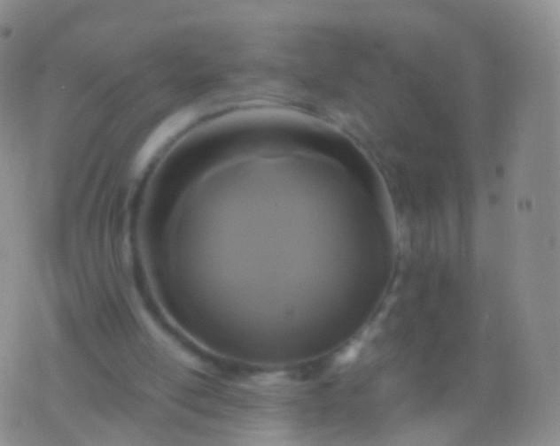 X0000076430054200610202255