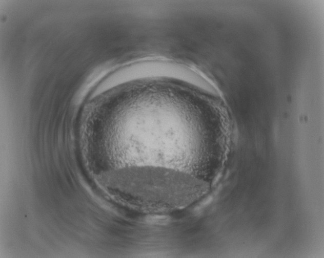 X0000076430055200610202255