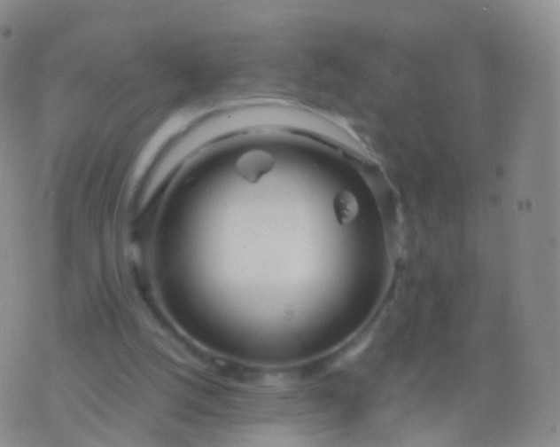 X0000076430056200610202255