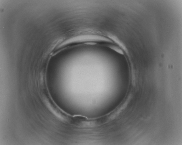 X0000076430057200610202255