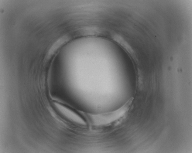 X0000076430058200610202255