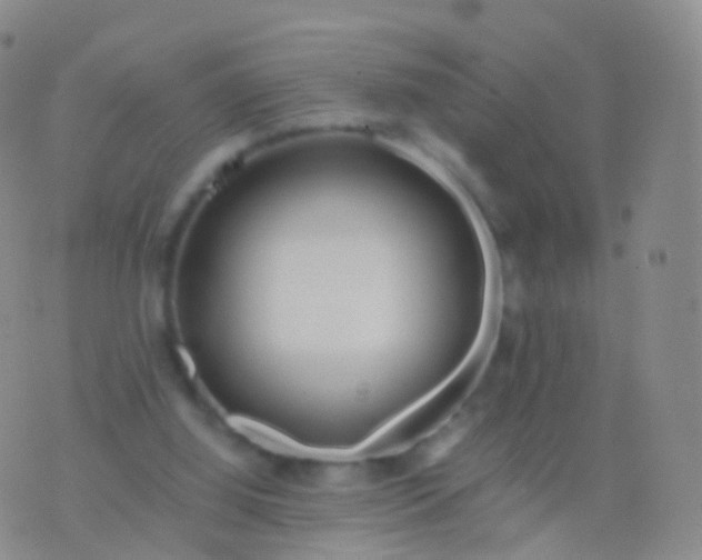 X0000076430060200610202255