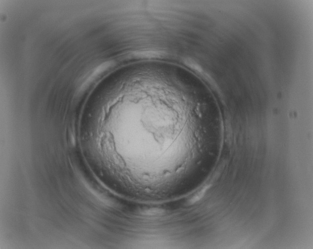 X0000076430062200610202255