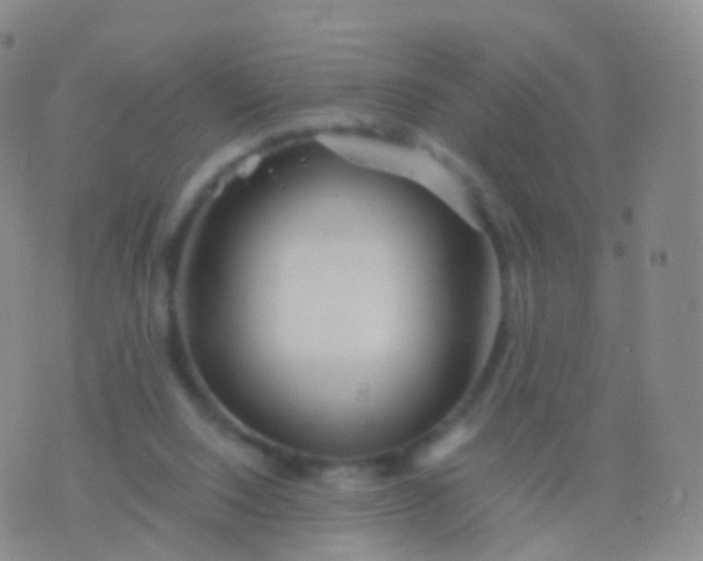 X0000076430064200610202255