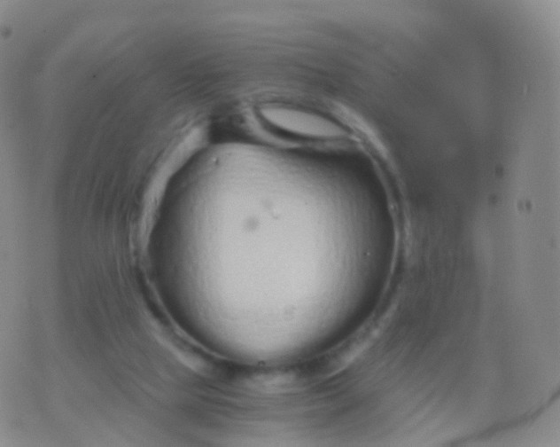 X0000076430065200610202255