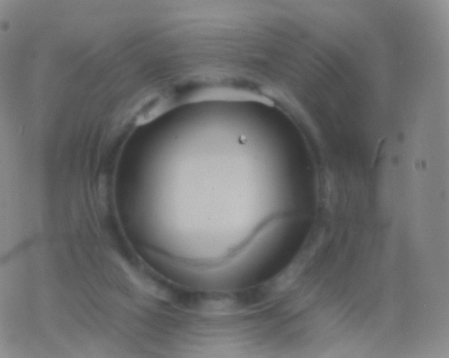 X0000076430066200610202255