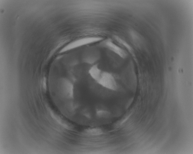 X0000076430067200610202255