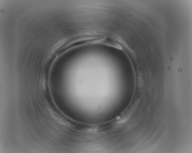 X0000076430068200610202255