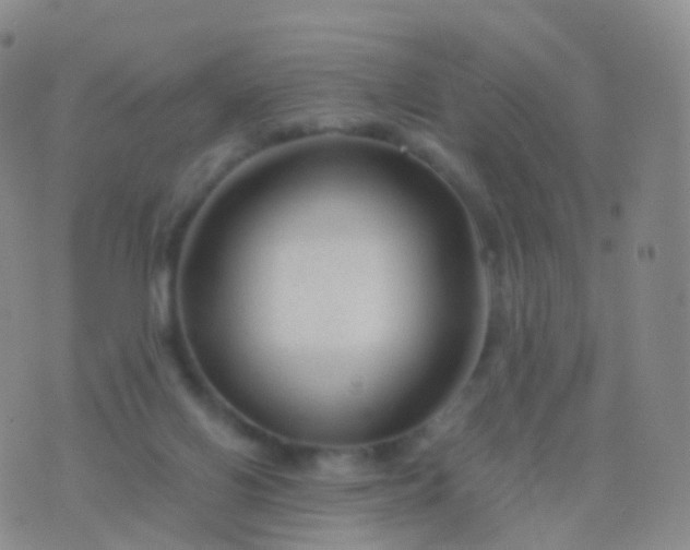 X0000076430070200610202255