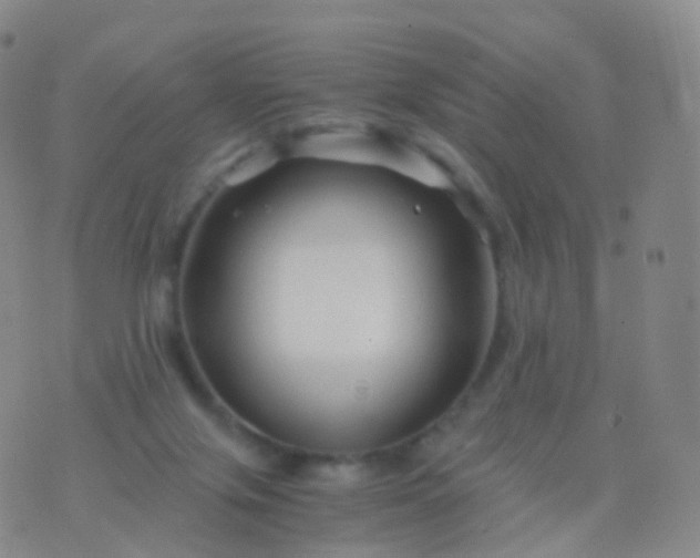 X0000076430071200610202255