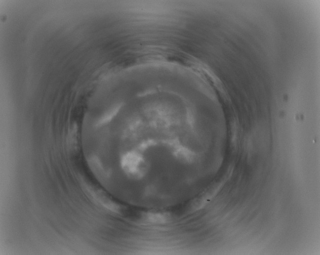 X0000076430073200610202255