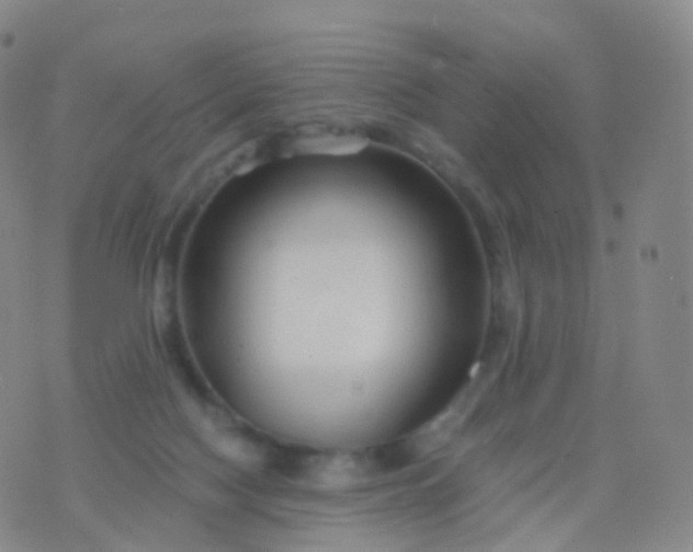 X0000076430074200610202255