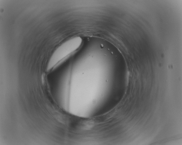 X0000076430075200610202255