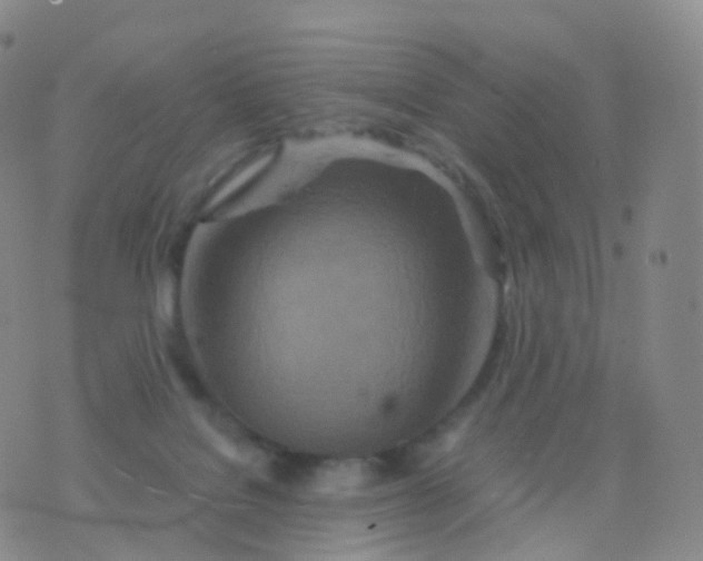 X0000076430076200610202255