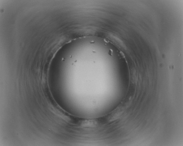 X0000076430077200610202255