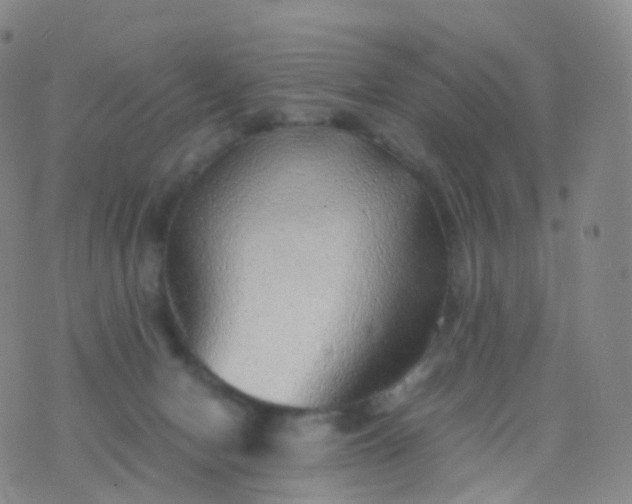 X0000076430078200610202255