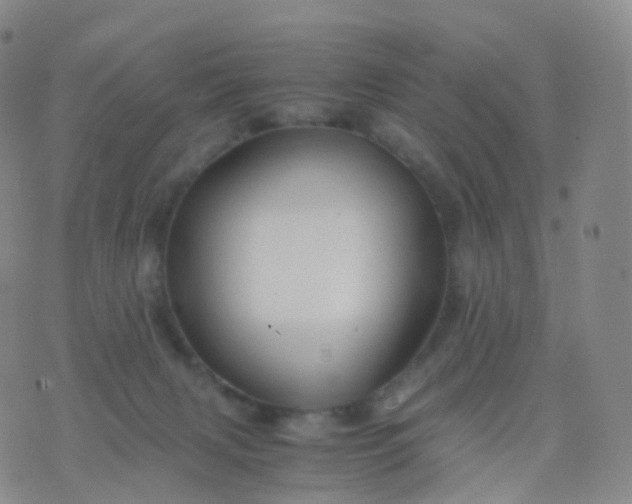 X0000076430079200610202255