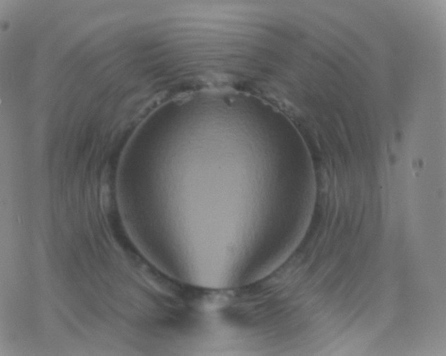 X0000076430080200610202255