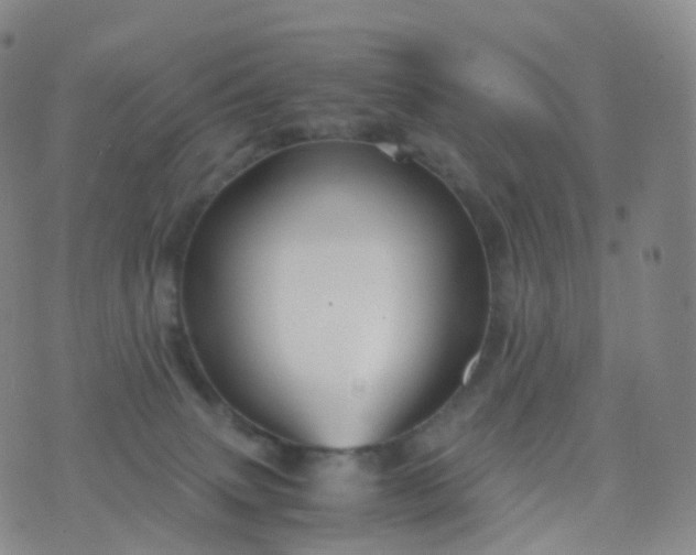 X0000076430083200610202255