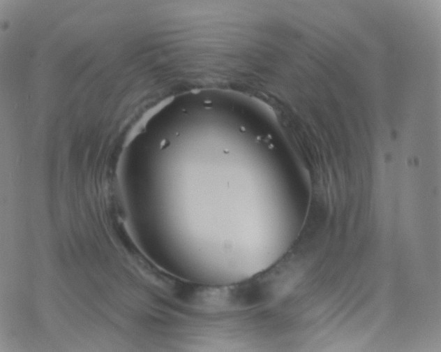 X0000076430084200610202255