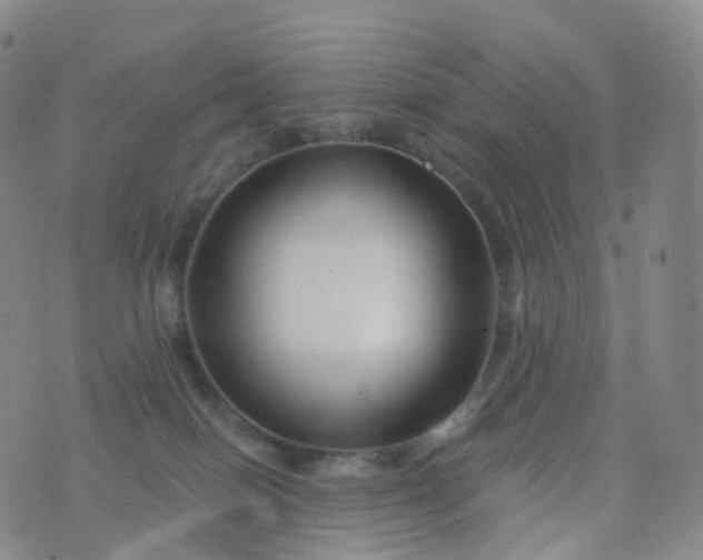 X0000076430086200610202255