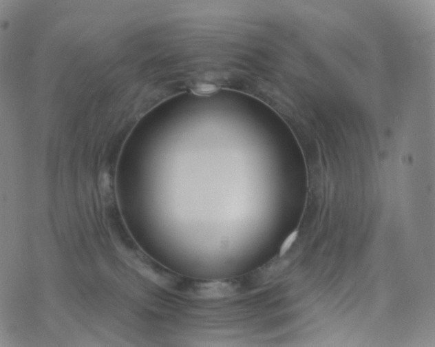 X0000076430087200610202255