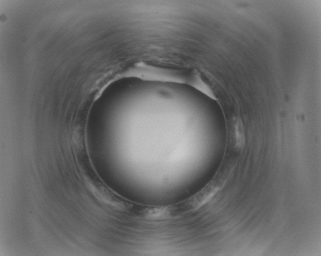 X0000076430088200610202255