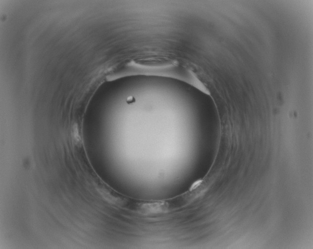 X0000076430089200610202255