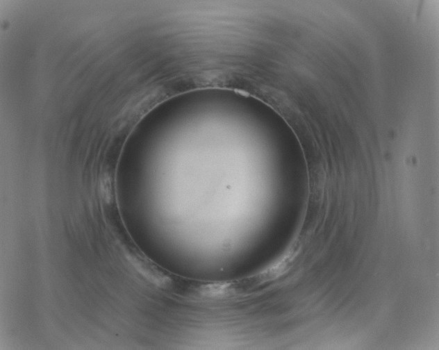 X0000076430090200610202255