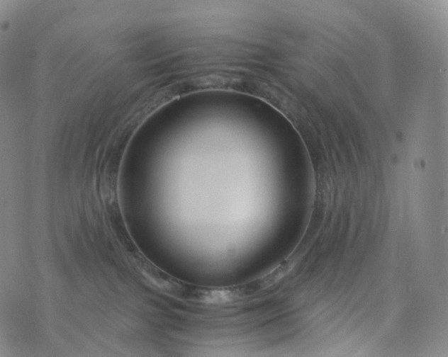 X0000076430091200610202256