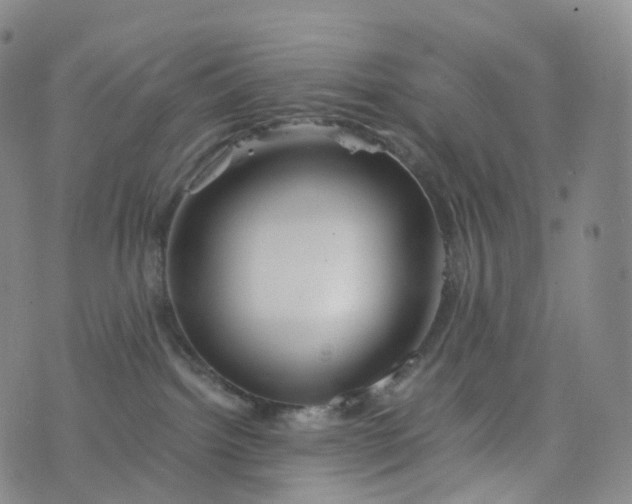 X0000076430092200610202256