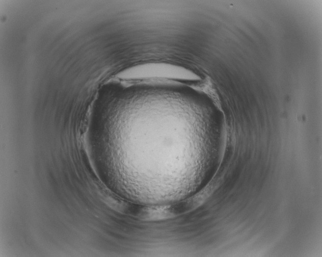 X0000076430093200610202256