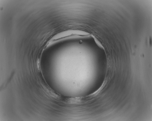 X0000076430094200610202256