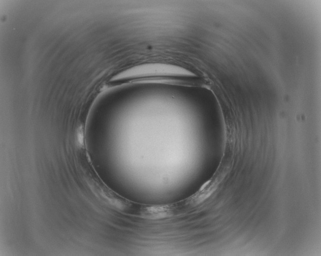 X0000076430095200610202256