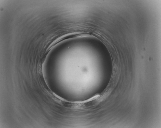 X0000076430096200610202256