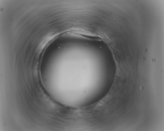 X0000076430098200610202255