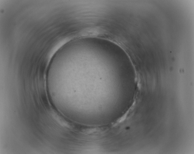 X0000076430100200610202255