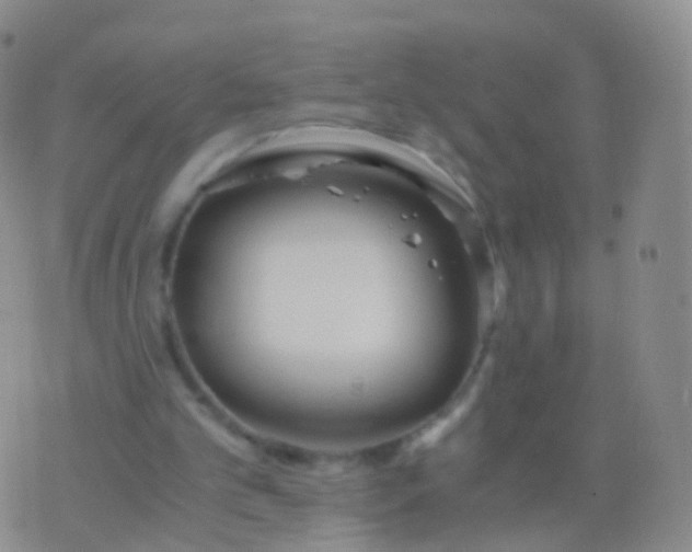 X0000076430101200610202255