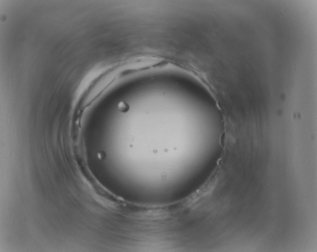 X0000076430102200610202255