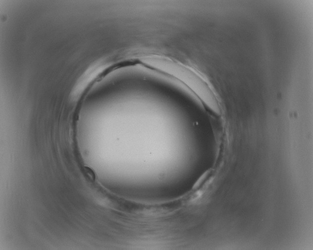 X0000076430103200610202255