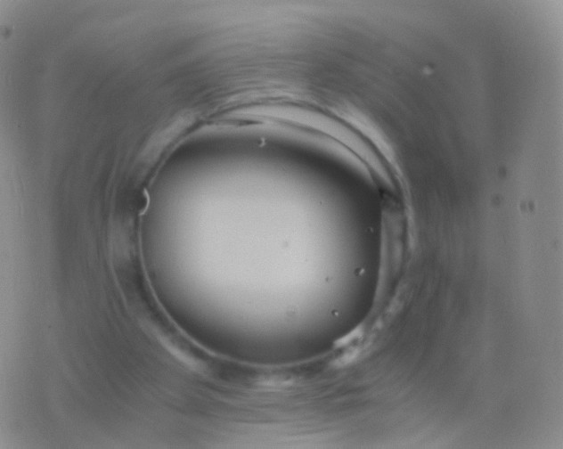 X0000076430105200610202255