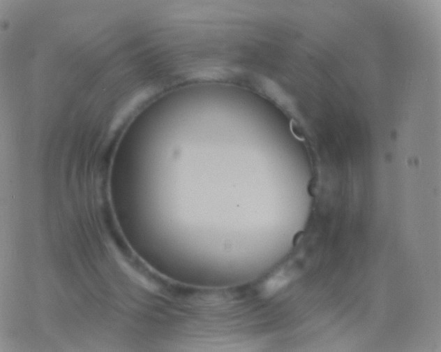 X0000076430106200610202255