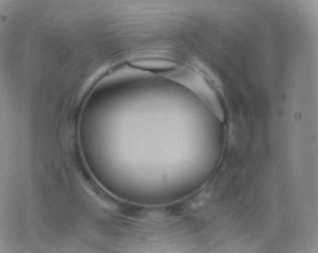 X0000076430107200610202255