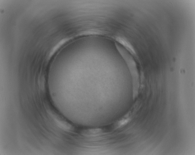 X0000076430108200610202255