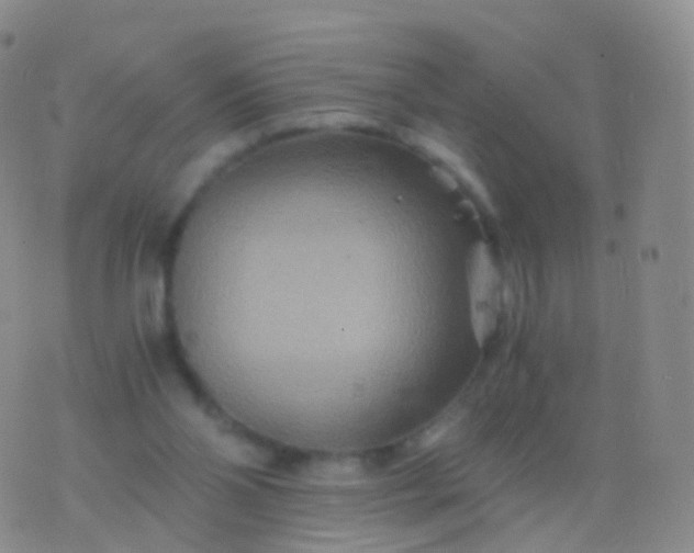 X0000076430110200610202255