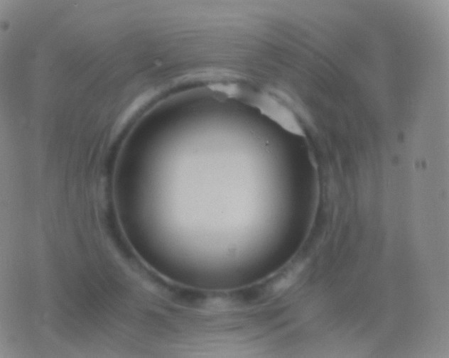 X0000076430111200610202255